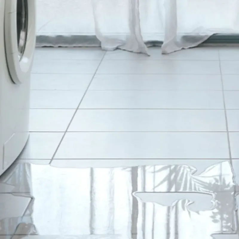 Appliance Leak Cleanup in Collinsville, IL