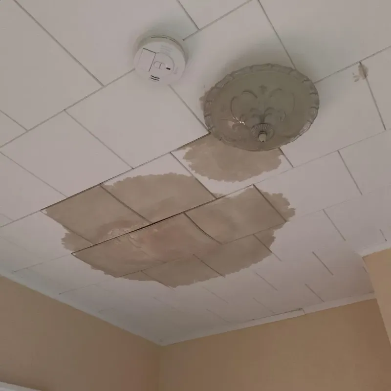 Ceiling Water Damage Repair in Collinsville, IL