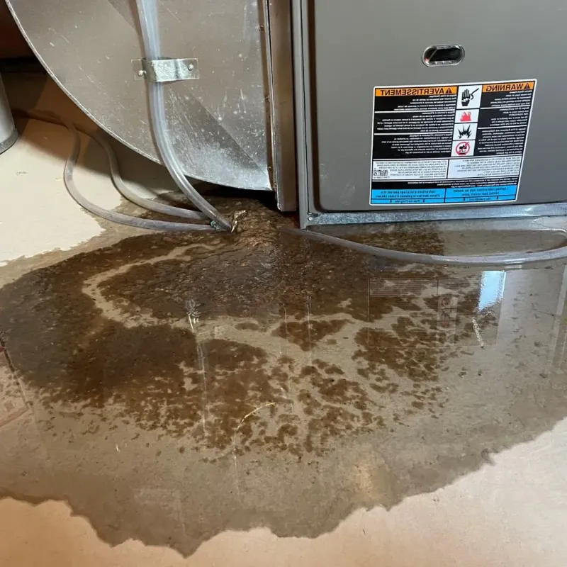 Pipe Burst and Leak Restoration in Collinsville, IL