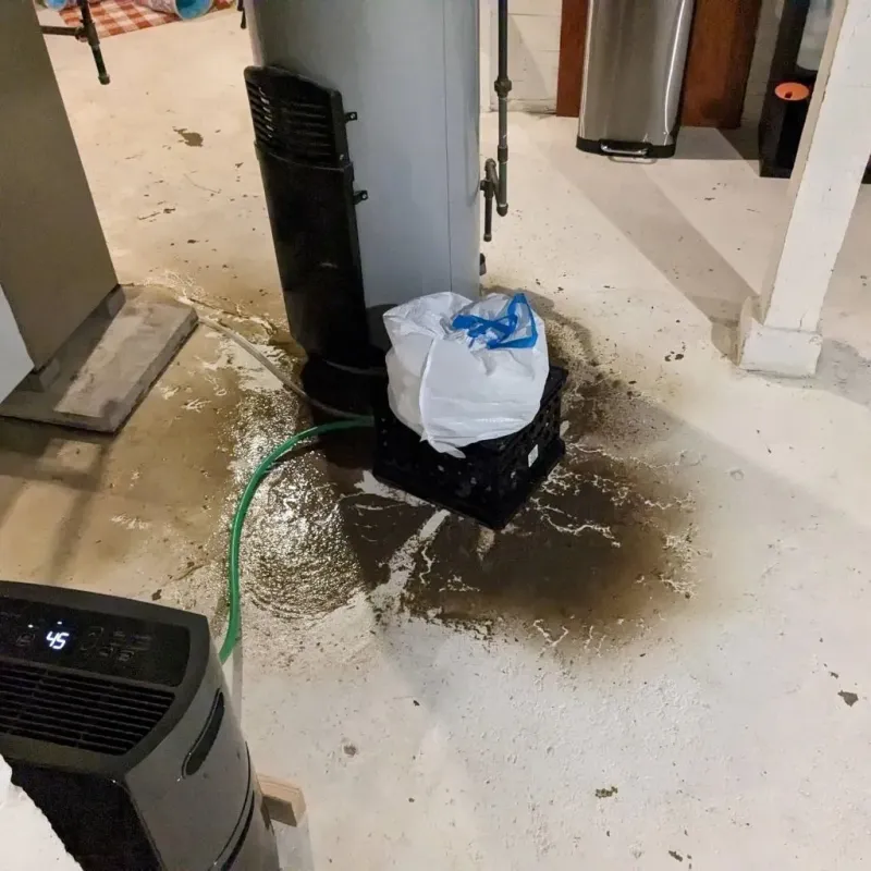 Sewage Backup Cleanup Service in Collinsville, IL